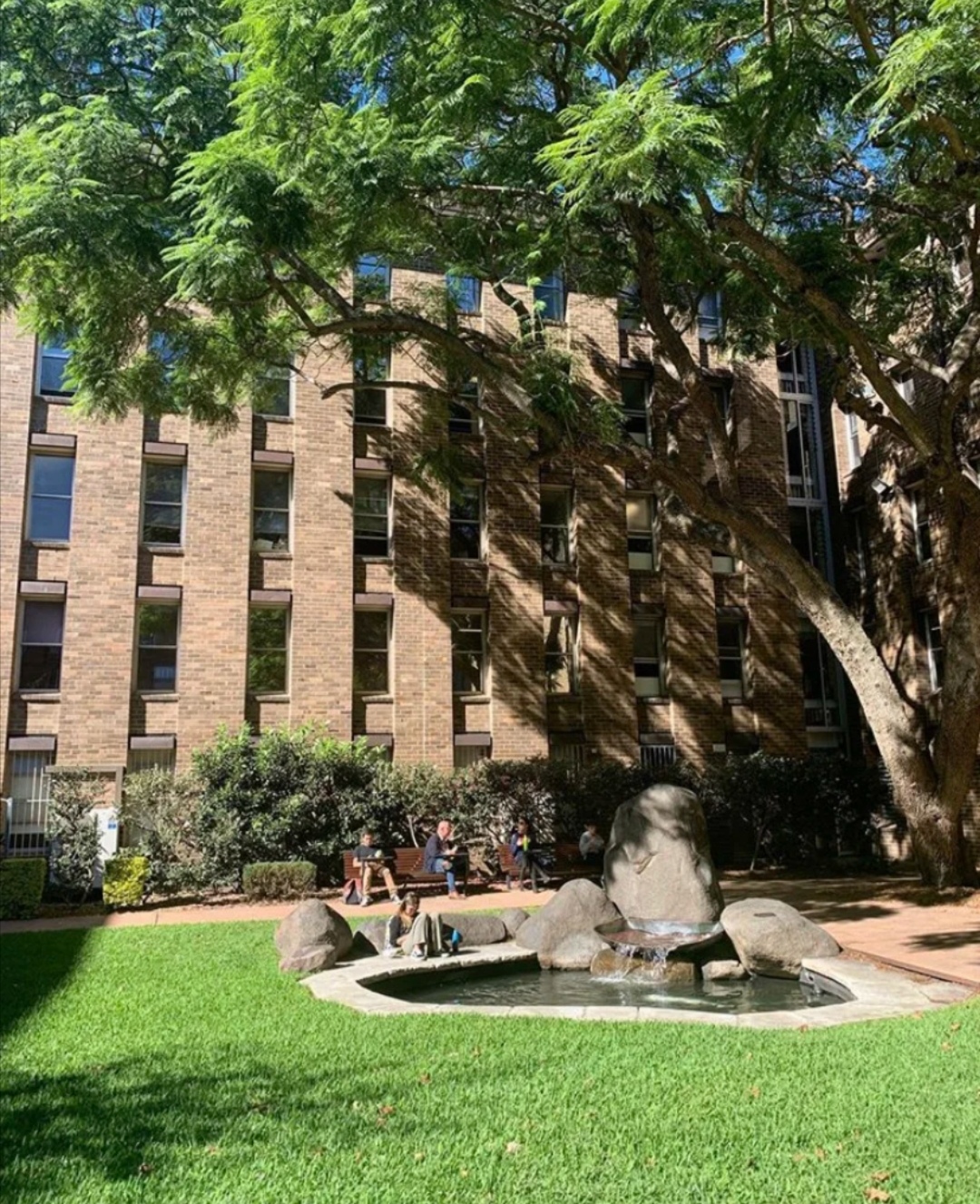 澳洲名校那么多,我为什么偏偏选择UNSW?