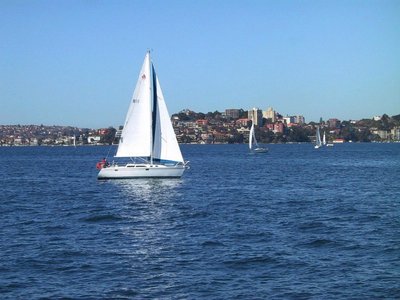 澳洲的百亿留学市场崩了吗?